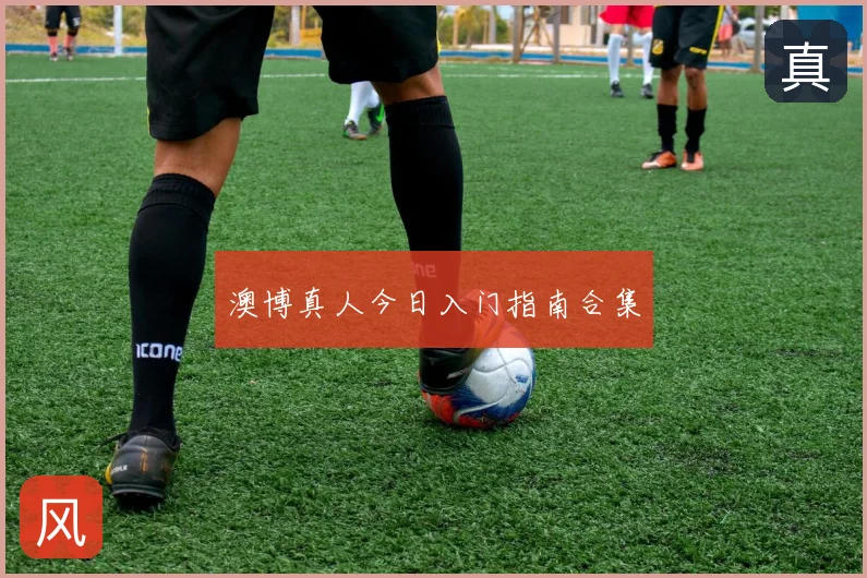 澳博真人今日入门指南合集
